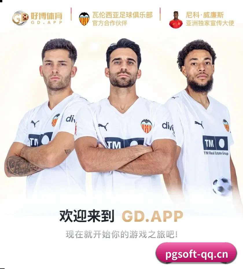 PG电子 APP